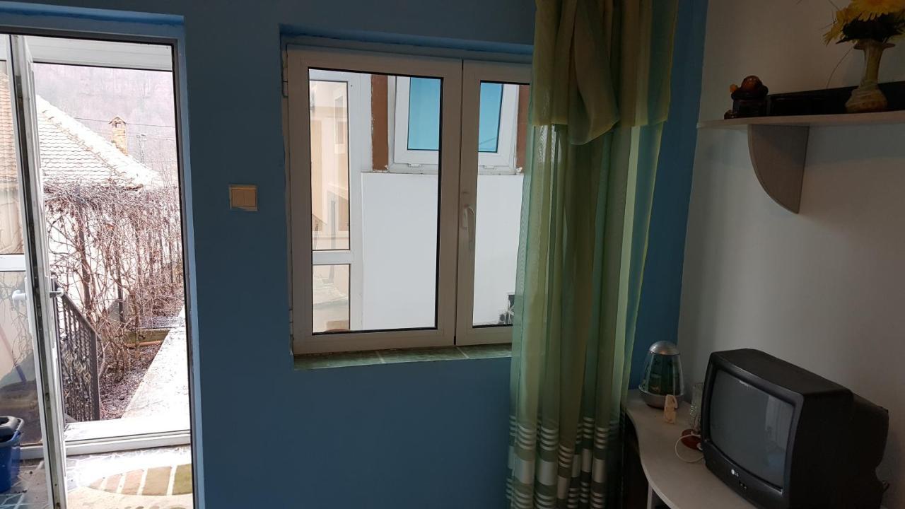 Casele Lena Bed & Breakfast Aldesti  Exterior photo