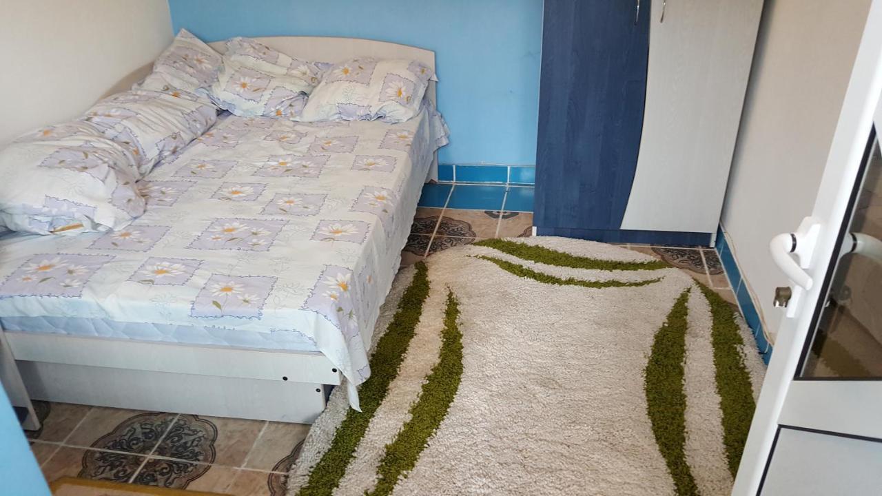 Casele Lena Bed & Breakfast Aldesti  Exterior photo