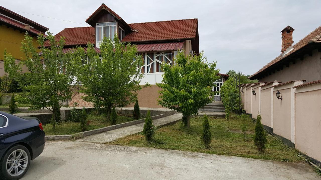Casele Lena Bed & Breakfast Aldesti  Exterior photo